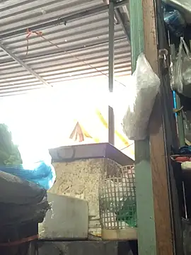 Phòng Chat Trực Tiếp BellaCherishDarling