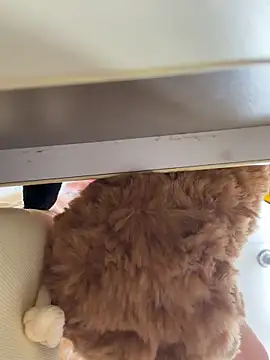 MiaTee чат на живо