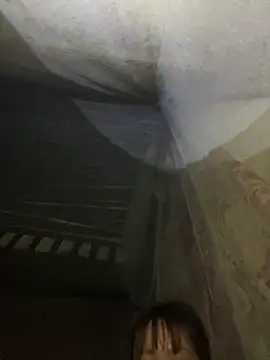 kekely's Live Chat Room