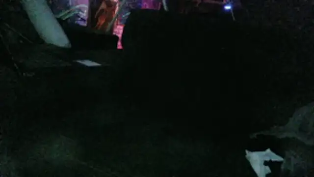 ctguybj Ruang Obrolan Langsung