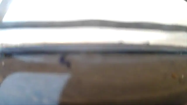 ctguybj live-chat rom