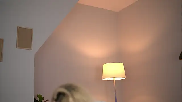 SvveetLuna Live Chatraum
