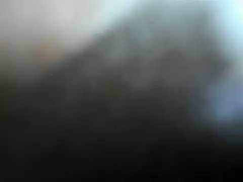 camila_wood 실시간 채팅방