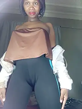 PussyFarrie Live Chatraum