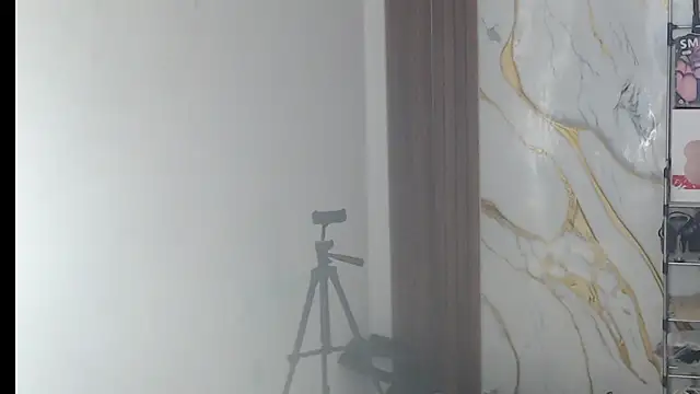 valen_ros Live chatroom