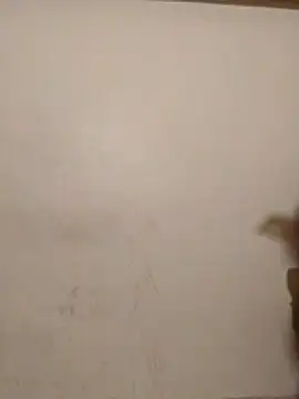 Wow_nikita Live Chatraum