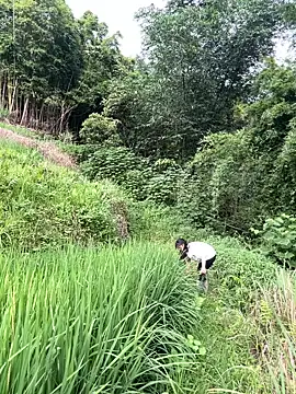 cuty_lusy 실시간 채팅방