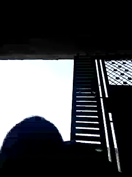 Loomaraj Live chatroom