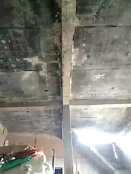 Loomaraj Cameră chat live