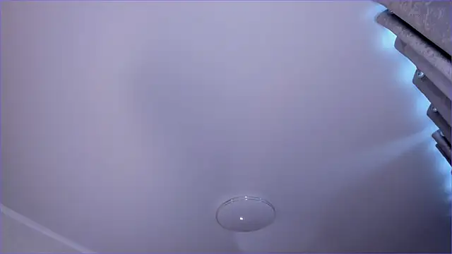 Chat ao vivo de MiaPimmy