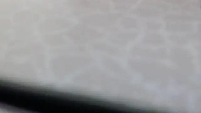 חדר צ'אט בשידור חי של VeronaDimexx
