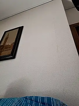 Sony28v Cameră chat live