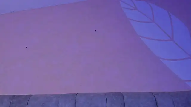 MarcoAndAllice élő chatszobája