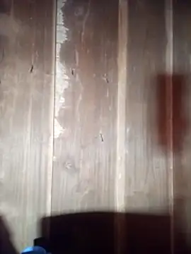 toyo_668 Cameră chat live