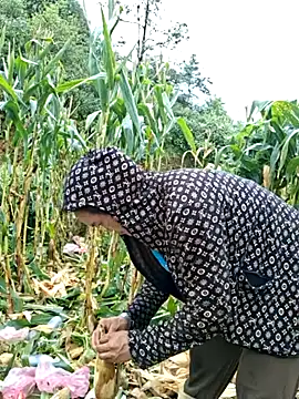 nelina_12345 실시간 채팅방