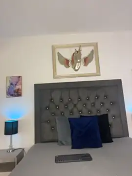 cotton_07 Live Chatraum