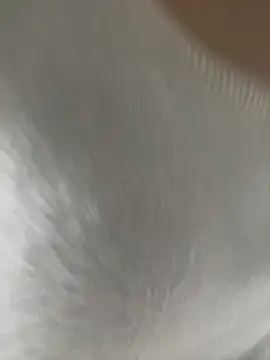 Chat ao vivo de sunae-sex
