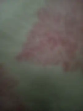 Me3l Cameră chat live