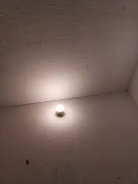 lunaywolfgray's Live Chat Room
