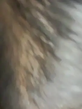 zhuendong000001 Live Chatraum