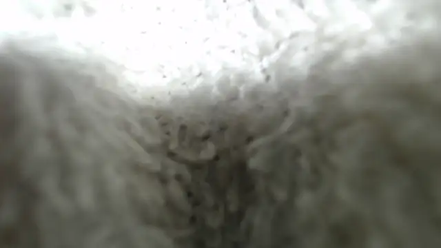 Sala de chat ao vivo de Haru_lis