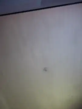 Živá chatovací místnost Channel_Connor