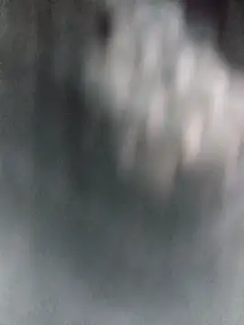lagatitacantabra Cameră chat live