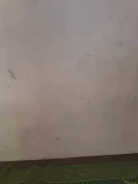 juicy-milu Live Chatraum