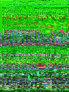 D_SnowL Cameră chat live