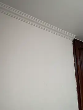 ShayMilleer 실시간 채팅방