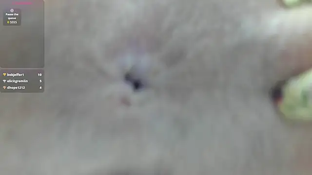 LESLYSIMPSON Live Chatraum