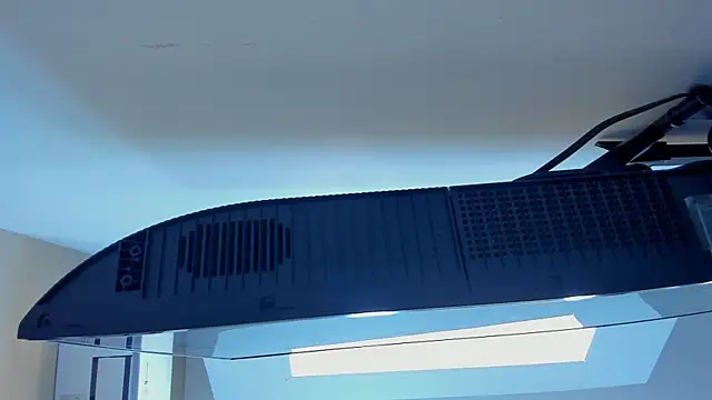 Živá chatovací místnost SofiBaez