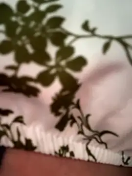 Živá chatovací místnost Morgana_Pink