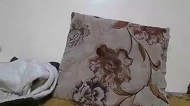 dimphow30 실시간 채팅방