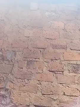 CRIBANN Cameră chat live