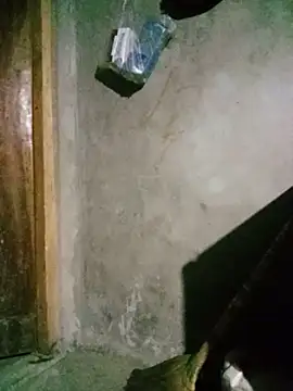 Bling-pusy Cameră chat live