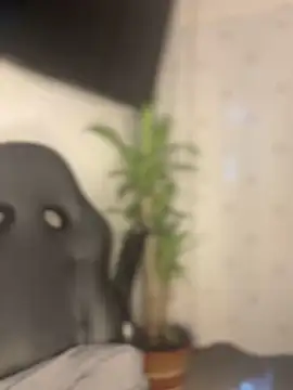 חדר צ'אט בשידור חי של CarolQueen1_