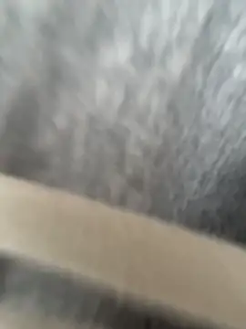 hamyy88 실시간 채팅방