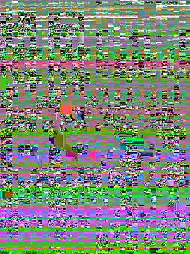 Lalocksee Live Chatraum