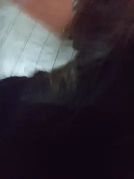 Sala de chat en directo de gatinha20257