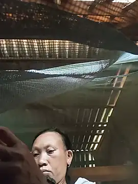 Heli_pusy Live chatroom