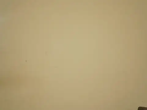 Radhika__gori Adlı Modelin Canlı Sohbet Odası