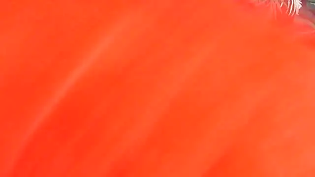 Melitaxx's Live Chat Room