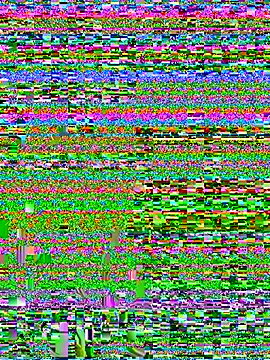 Puting_q's Live Chat Room