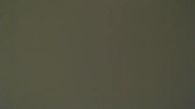 Barbiedollc লাইভ চ্যাট রুম