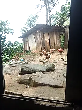 Victoni-a Cameră chat live