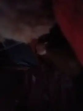 NIANIAKUTE Live Chatraum