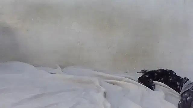Sala de chat en directo de Mankofane