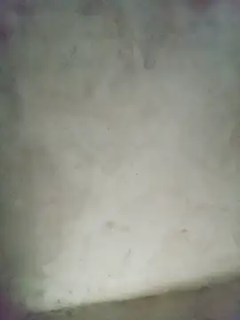 gogo-min Live Chatraum