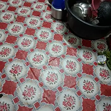 Riya45326 Cameră chat live